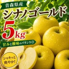ゴールデンキウイ　ニュージーランド産　ゼスプリ 1箱45個入りです。 ニュージーランド産 キウイフルーツ ゼスプリ サンゴールド 中玉サイズ
