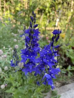 ふうく様 リクエスト 6点 まとめ商品