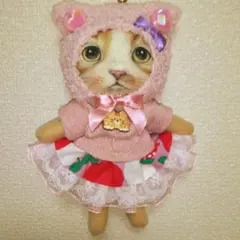 コヤンイサムチョン＊薄型ぬいぐるみチャーム[オッドアイちゃん