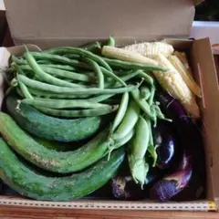 野菜の詰め合わせのサムネイル