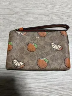 Item thumbnail for item a73cdbbb-422f-4951-b6cd-b9647a3ac9da