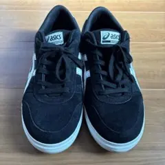 ASICS SKATEBOADING Aaron Pro アーロンプロ