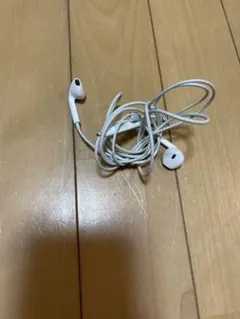 Apple EarPods with Lightning