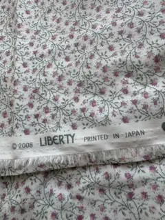 Item thumbnail for item cebb530d-dc28-4d56-8840-e5cb83bbbcaa