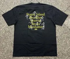 Item thumbnail for item 116dc053-625e-440e-ac6b-99badbccb826