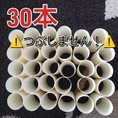【送料無料】【最終値下げ】トイレットペーパー　空き芯　30本　潰しません