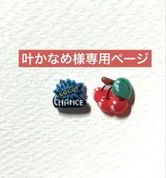 叶かなめ様専用ページ