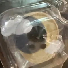 シルバニア 赤ちゃん ミルキーウェイ レジー 黒猫