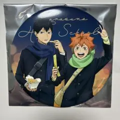 デカンバッジ　烏野