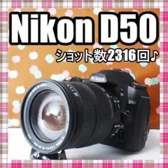 ✨超美品✨ショット数2403回✨Nikon D40 レンズセット ✨超美品✨ショット数2403回✨Nikon D40 ダブルレンズセット - メルカリ