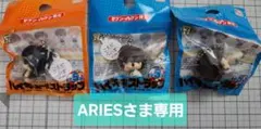 ARIES ※プロフ必読ください様 リクエスト 2点 まとめ商品