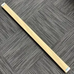 【未使用】コイズミ　FHG4117AZ　直付・壁付・床付可能型　本体のみ