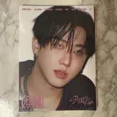 Stray Kids『KARMA』accordionver. チャンビン