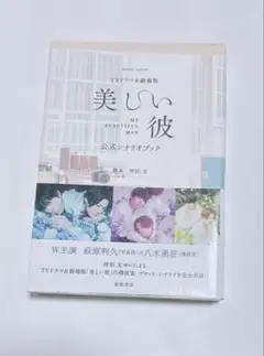 TVドラマ&劇場版「美しい彼」公式シナリオブック