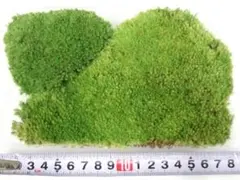 HAKO様 リクエスト 2点 まとめ商品