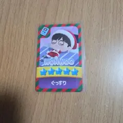 SEVENTEEN セブチ ウォヌ パズチ トレカ クーポン