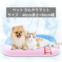 Item thumbnail for item b678d43d-51e0-4912-92c7-8ef555971aef