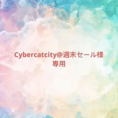 Cybercatcity@週末セール様確認専用ページ【取り置き中12月24日迄】