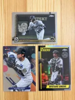 Item thumbnail for item a8597e32-c993-4f75-a177-c55cbf9d105e