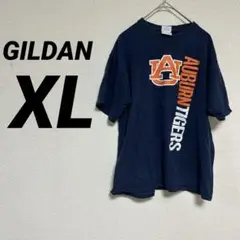 ギルダン xl