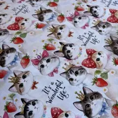 Item thumbnail for item 347cf1ba-dd2b-4b6e-b8c6-3c2c709ab2ef