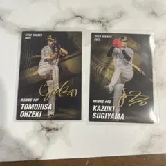 カルビー プロ野球チップス ソフトバンク タイトルホルダー　大関友久 杉山一樹