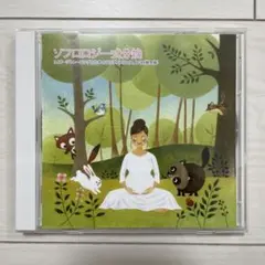 ソフロロジー式分娩 イメージトレーニングのためのテルプノスロゴス CD