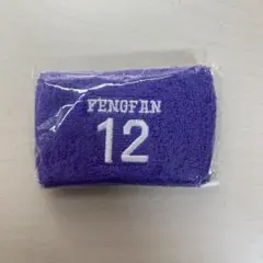 INI 許豊凡 カプセルトイ リストバンド