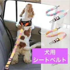 Item thumbnail for item b4b058b3-a13f-400b-9f67-d8137766c50e