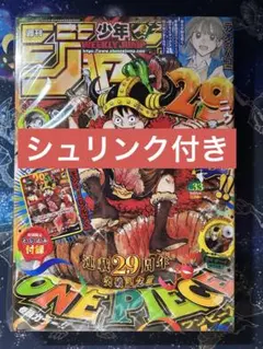 シュリンク付き 週刊少年ジャンプ 2026年 33号 プロモ付き ワンピース