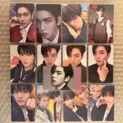 スビン トレカ 13枚セット