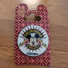 カリフォルニアディズニーランド ジーニー ピンバッジ ディズニー ジーニー コレクション ピンバッジ アラジン Disney