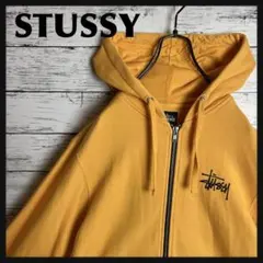 STUSSY◇ストックロゴ刺繍 アースカラー パーカー D311 - メルカリ