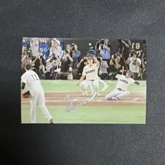 田中将大　ルーキーイヤー 直筆サイン入りオフィシャルウインドブレーカー 田中将大 ルーキーイヤー 直筆サイン入りオフィシャルウインド