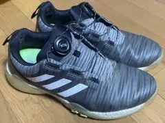 ゴルフシューズ24.5