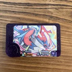 ポケモン　フレンダ　ボーマンダ