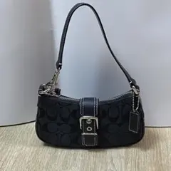 ほぼ新品 COACH アクセサリーポーチ ハンドバッグ シグネチャー 黒ホーボー
