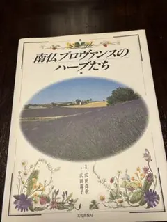 Item thumbnail for item 0319998b-c2df-463d-8660-51f0553305b2