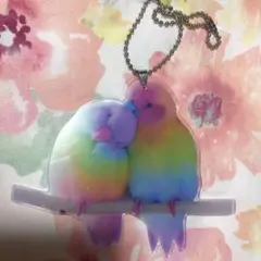 レインボーインコのキーホルダー（新品）