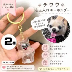 【ラス1】チワワ 毛玉入れ キーホルダー 2個 毛玉入れ キーホルダー　D497のサムネイル