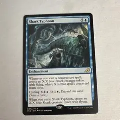サメ台風　Shark Typhoon 英語版 1枚