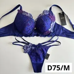 サルート D75/M VI 95 ビバラインブラ ソング タンガ 紫 パープル