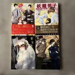 BL小説 4冊セット