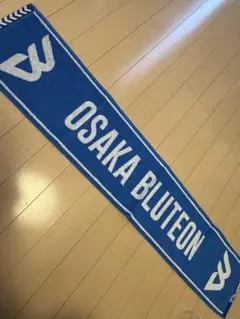 Item thumbnail for item df488709-8b60-4e8d-965e-a8f5d1cf25b4