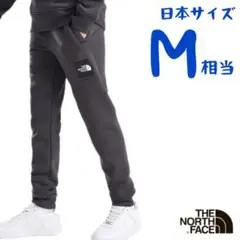【海外限定】ノースフェイス　ジョガーパンツ　日本M相当　J1098