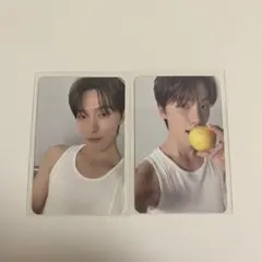 SEVENTEEN ディノ carat盤 トレカ