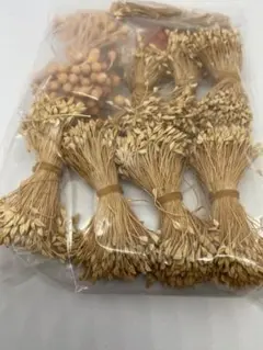 Item thumbnail for item c3ed63e6-075b-43d3-9f52-cdac7818cbce