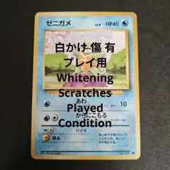 【旧裏】ゼニガメ マーク有