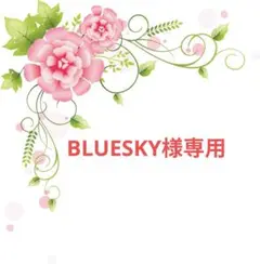 BLUESKY様専用 CNBLUE ファンクラブイベント Tシャツ他