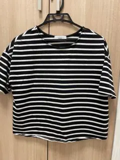 Item thumbnail for item 5dc59cb3-533a-4959-937d-aff638b7db1b